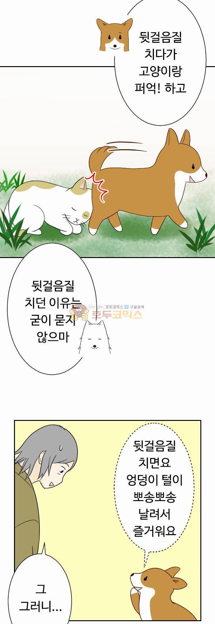 화이트 포메 46화 - 사과 3