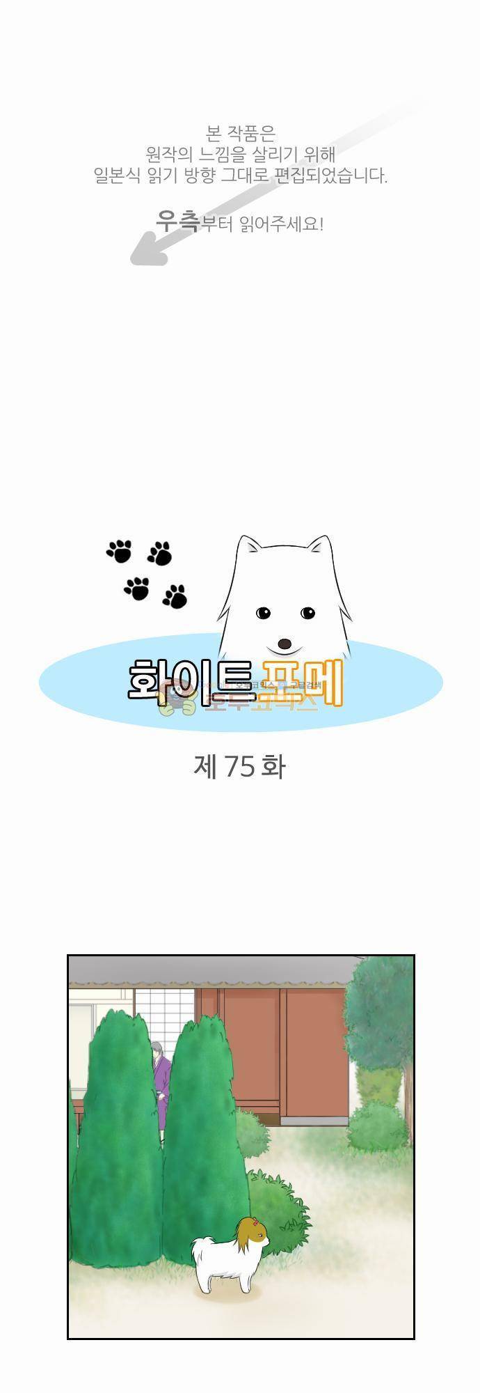 화이트 포메 75화 - 둘러말하기 1