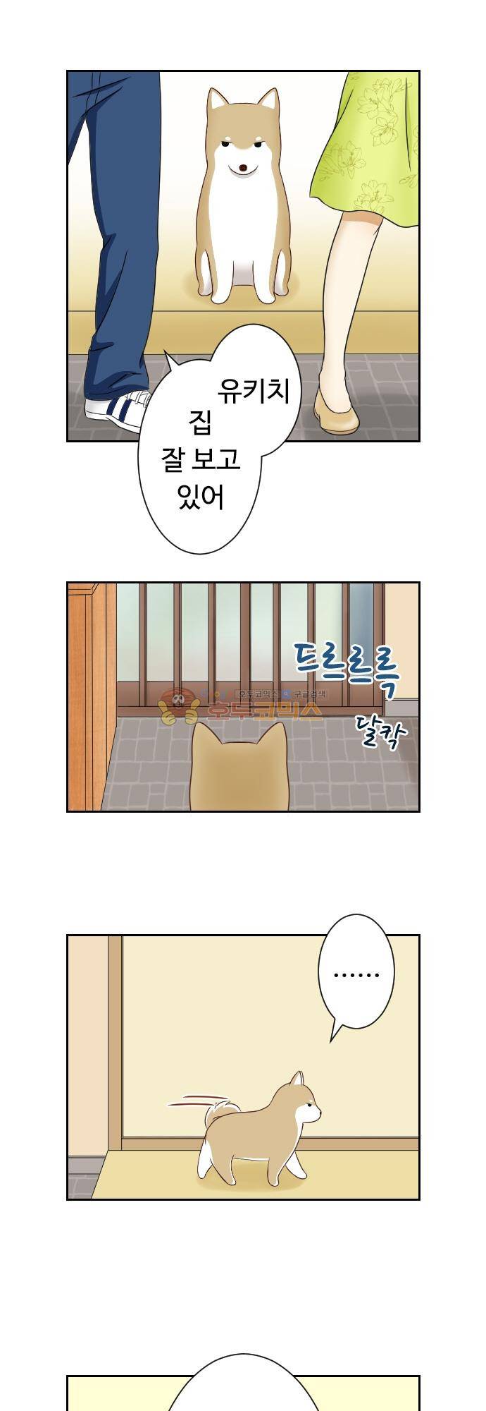 화이트 포메 86화 - 집을 비웠더니… 2