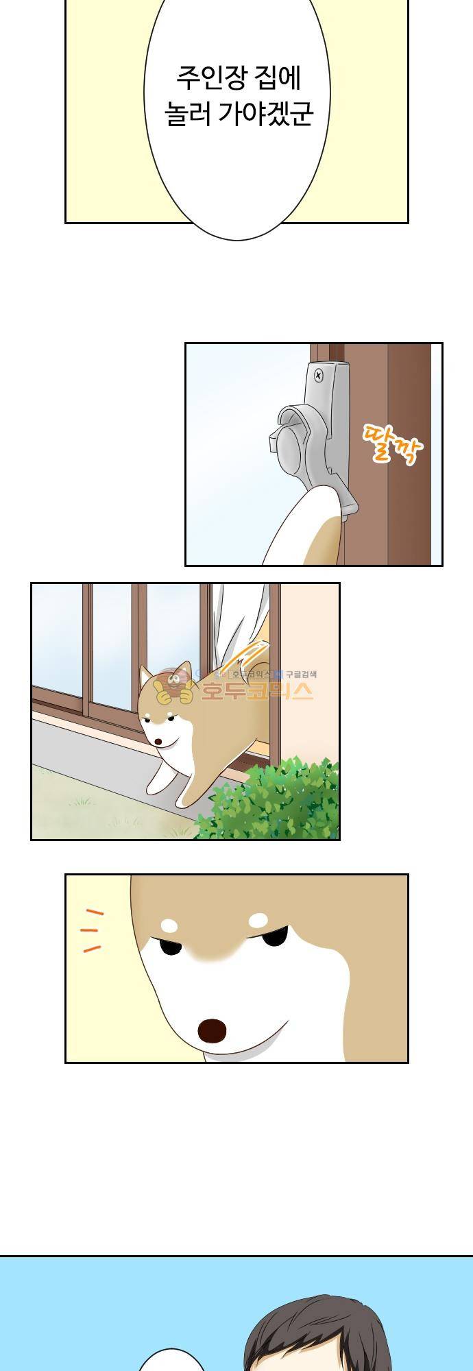 화이트 포메 86화 - 집을 비웠더니… 3