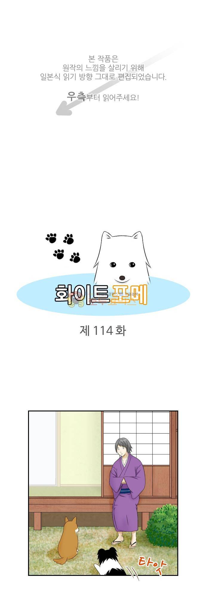 화이트 포메 114화 - 퀴즈 1