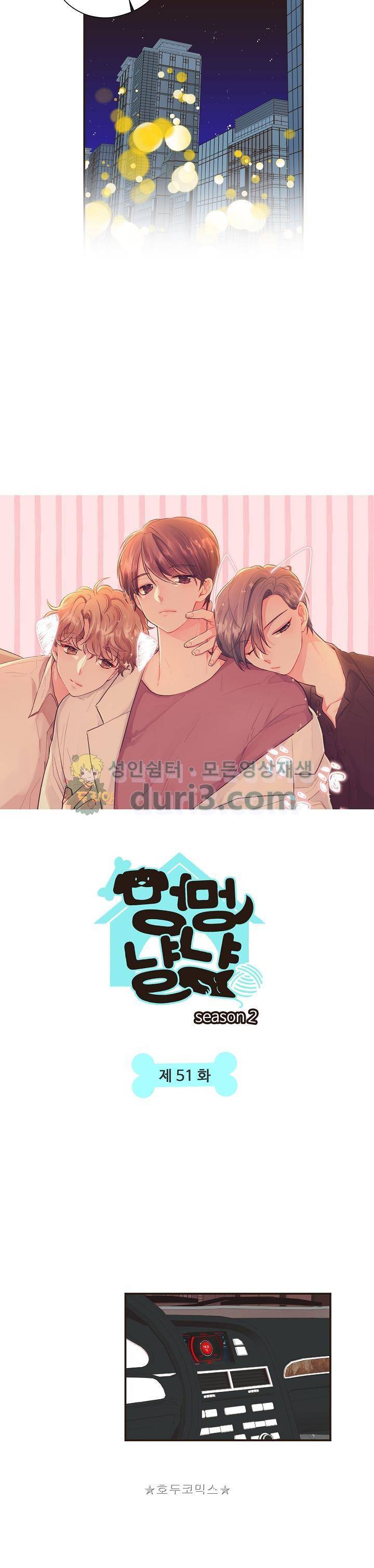 멍멍냥냥 51화 2