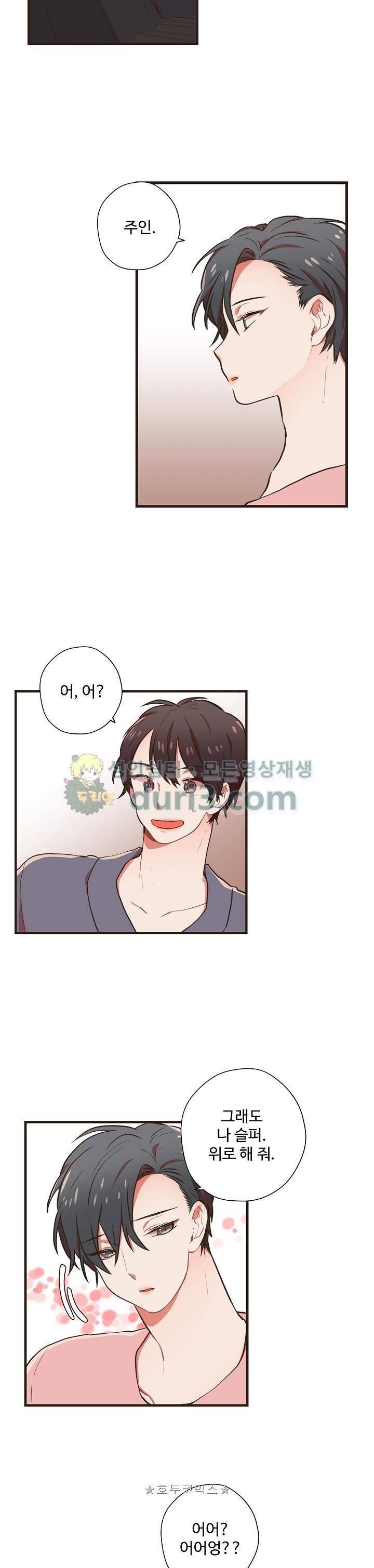 멍멍냥냥 51화 8