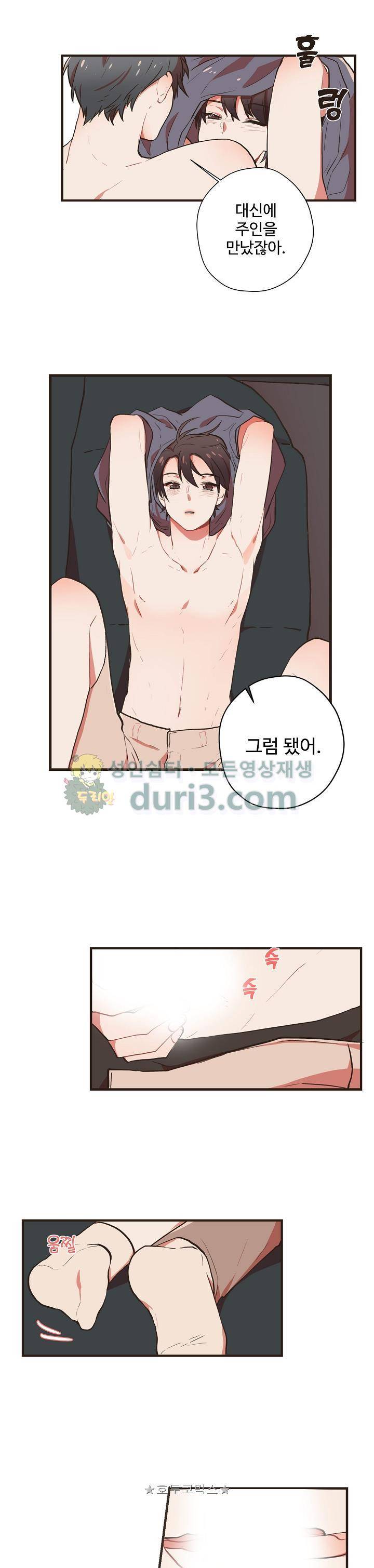 멍멍냥냥 51화 13