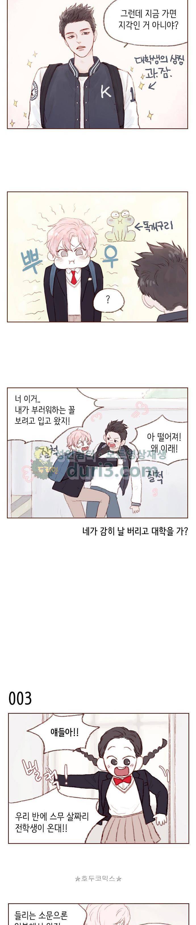 홍시는 날 좋아해! 1화 - 너냐? 이 구역의 애송이가? 3
