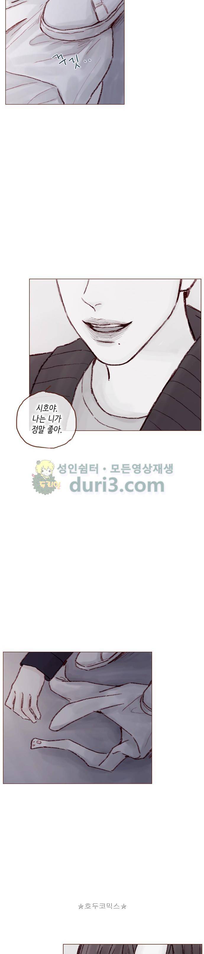 홍시는 날 좋아해! 51화 - 나는 니가 정말 좋아. 15