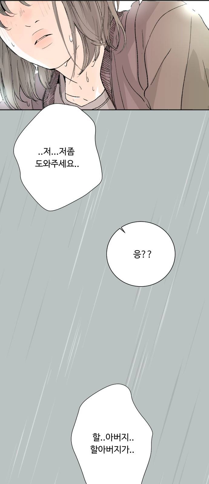 방 안의 코끼리 4화 14