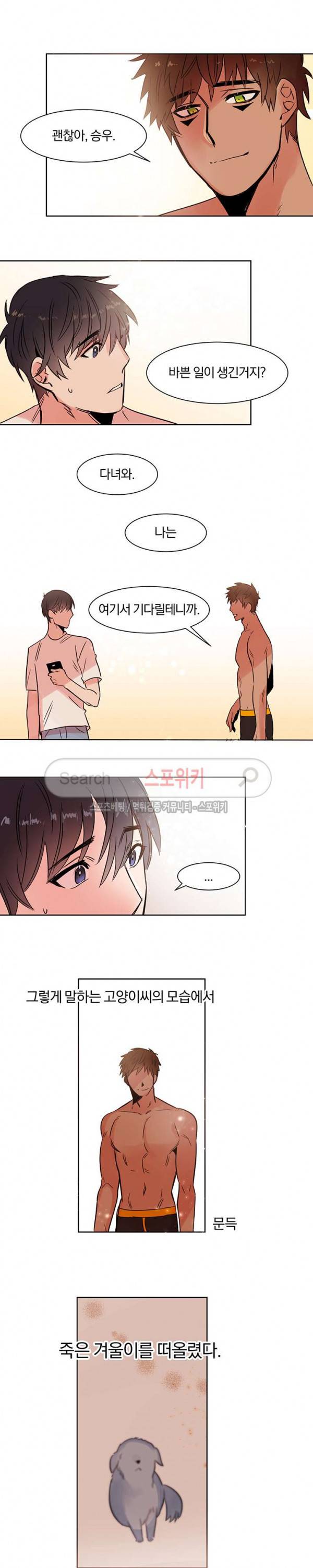골판지 상자 안 고양이씨 10화 5