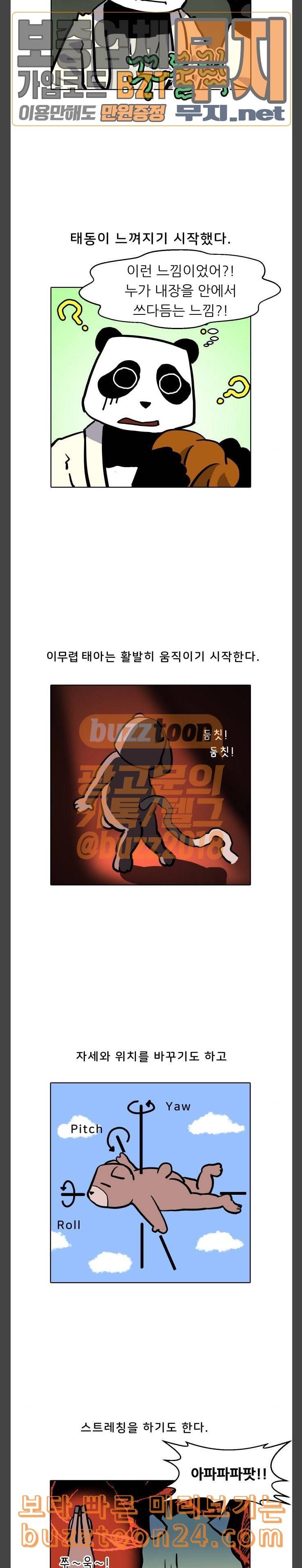 닥터앤닥터 육아일기 28 태동 1 7