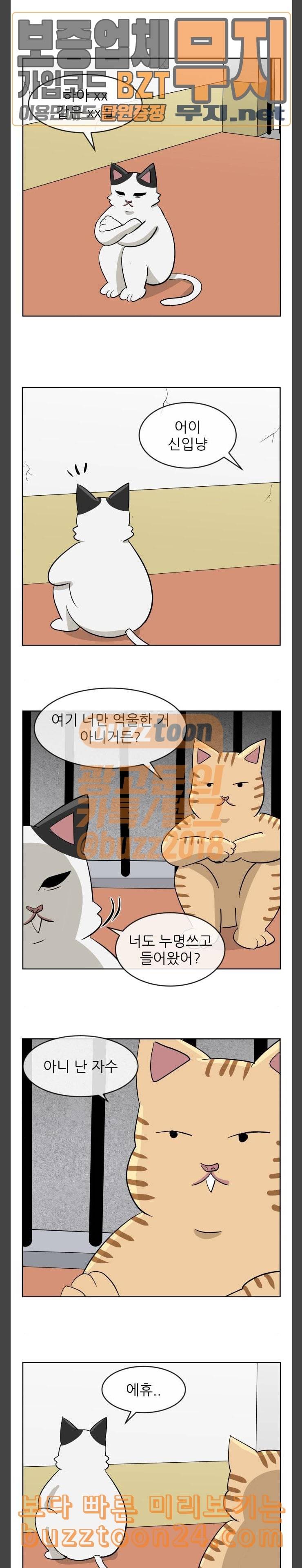 냥하무인 55화 냥하무인 8 2