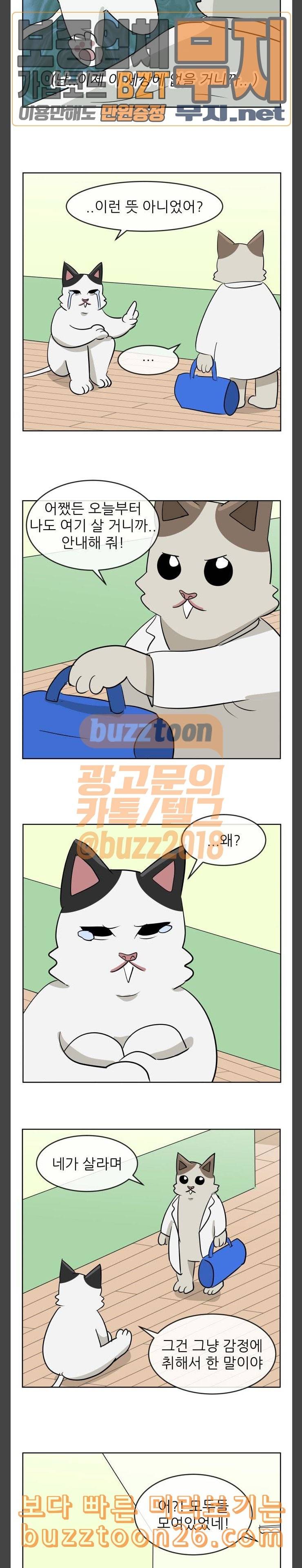 냥하무인 57 냥하무인 최종화 15