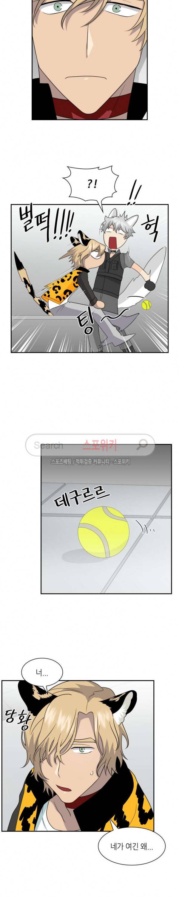 동물의 왕국 시즌2 15화 17
