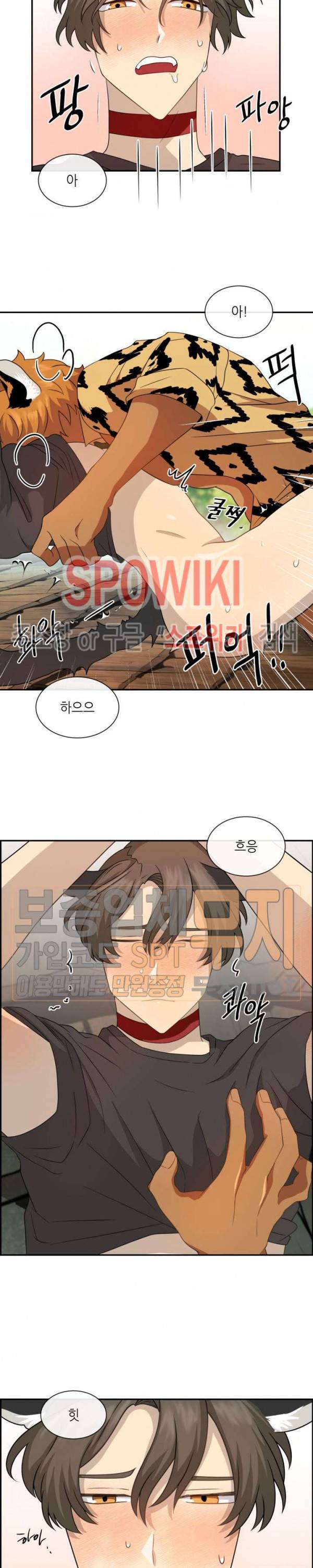 동물의 왕국 시즌2 19화 3