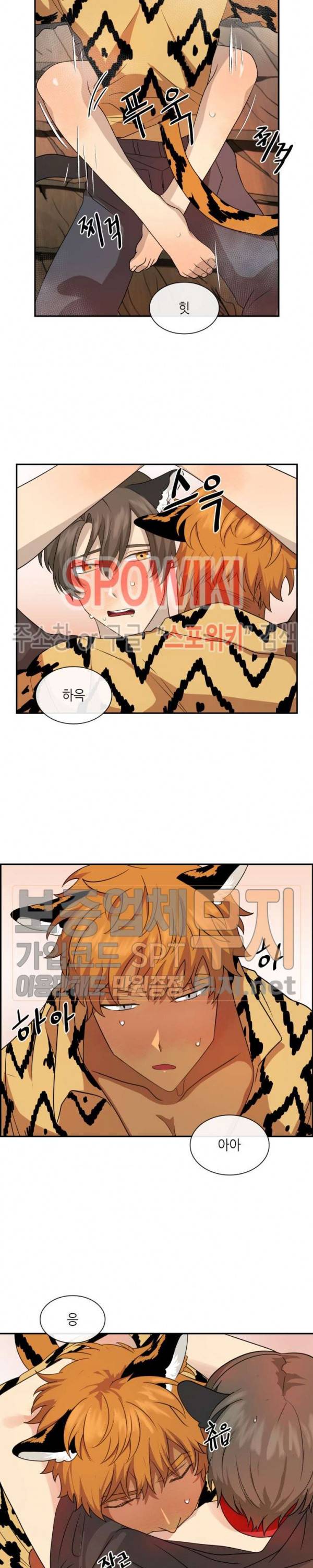 동물의 왕국 시즌2 19화 5