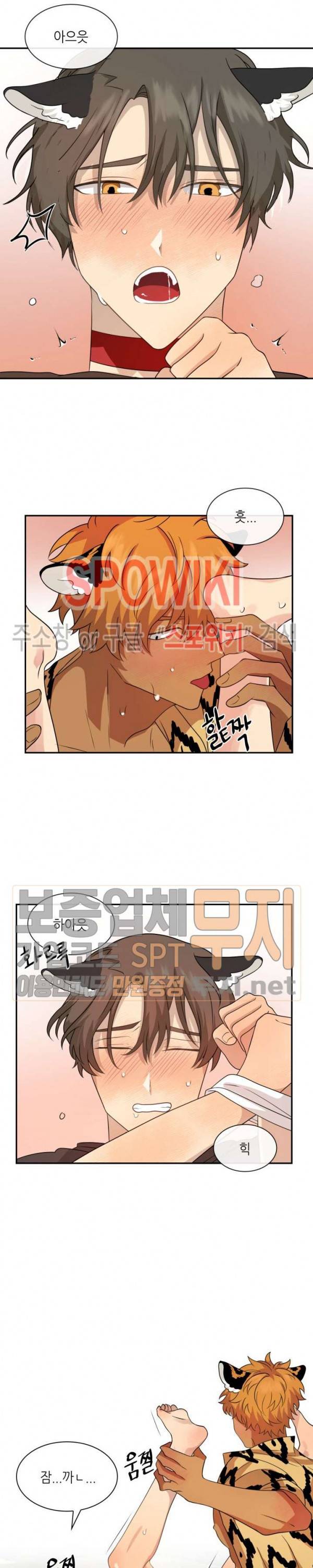 동물의 왕국 시즌2 19화 7