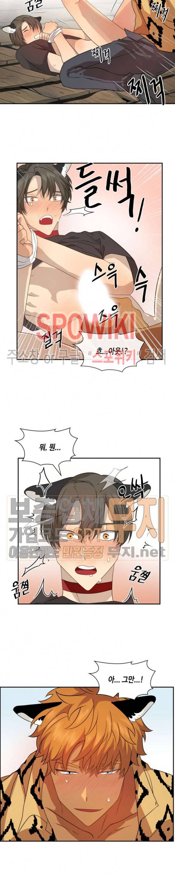 동물의 왕국 시즌2 19화 8
