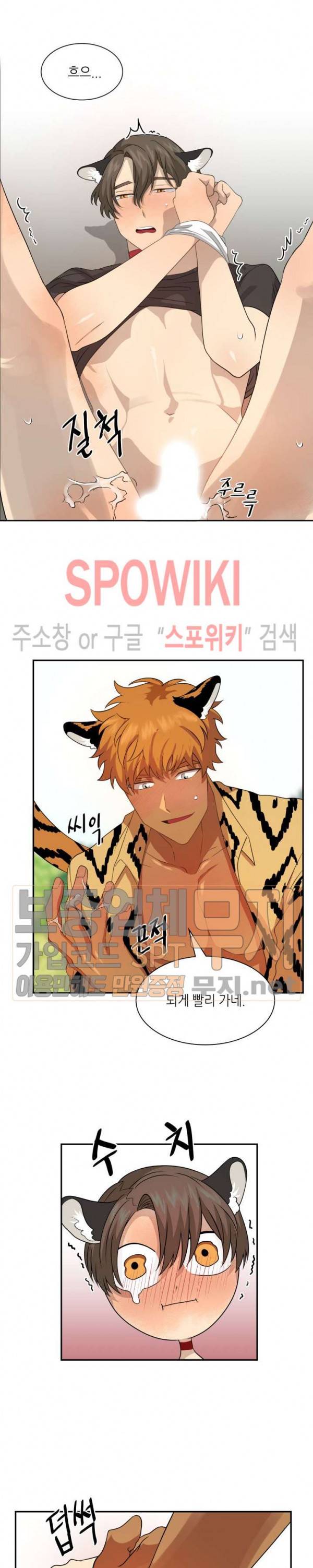 동물의 왕국 시즌2 19화 9