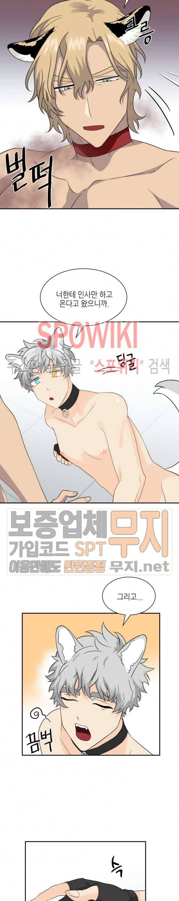 동물의 왕국 시즌2 19화 12