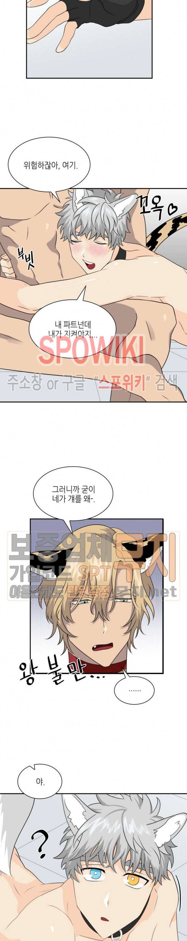 동물의 왕국 시즌2 19화 13