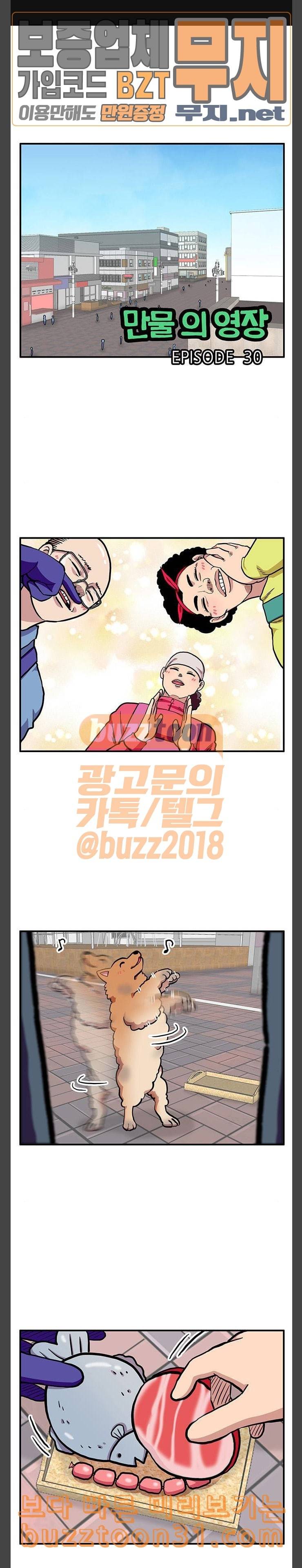 만물의 영장 30화 유기견 치코와 파이 1 1