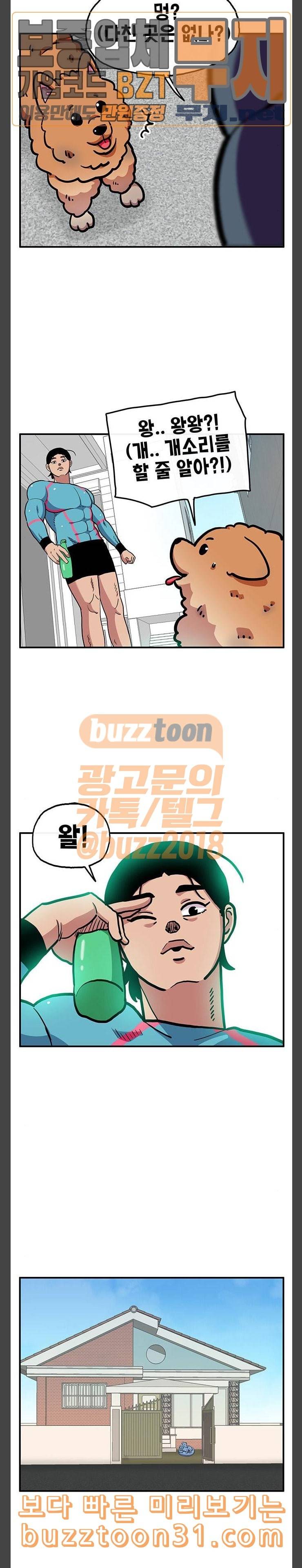 만물의 영장 30화 유기견 치코와 파이 1 6