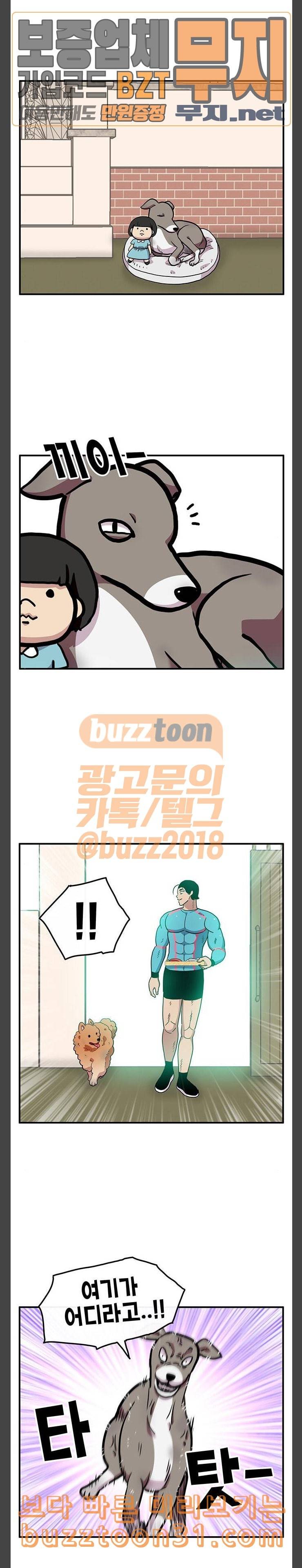 만물의 영장 30화 유기견 치코와 파이 1 7