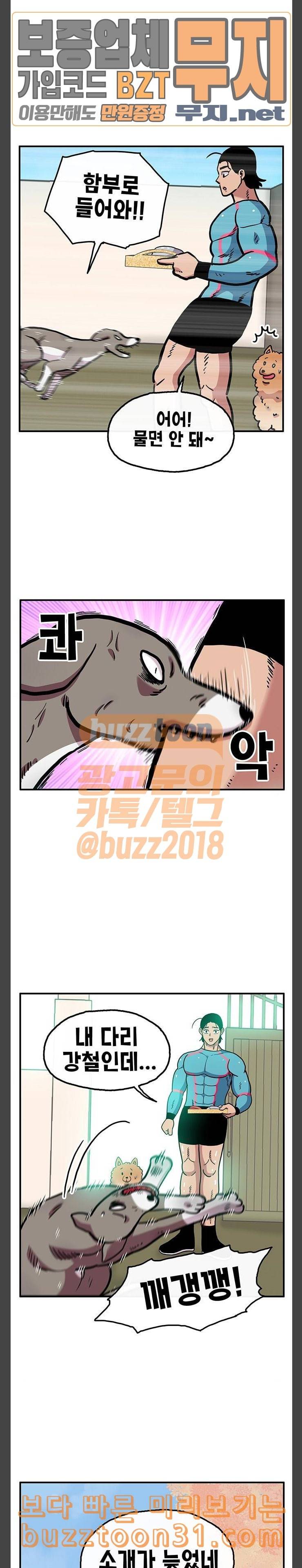 만물의 영장 30화 유기견 치코와 파이 1 8