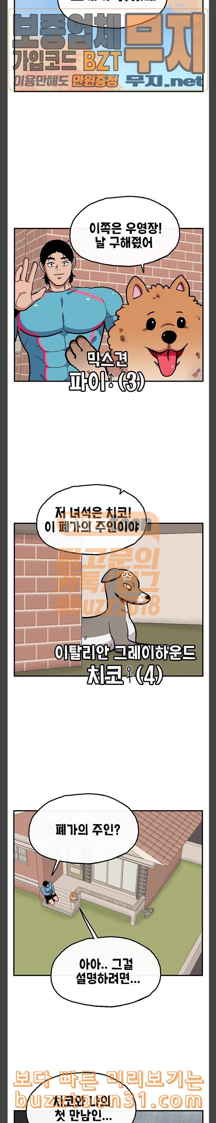 만물의 영장 30화 유기견 치코와 파이 1 9