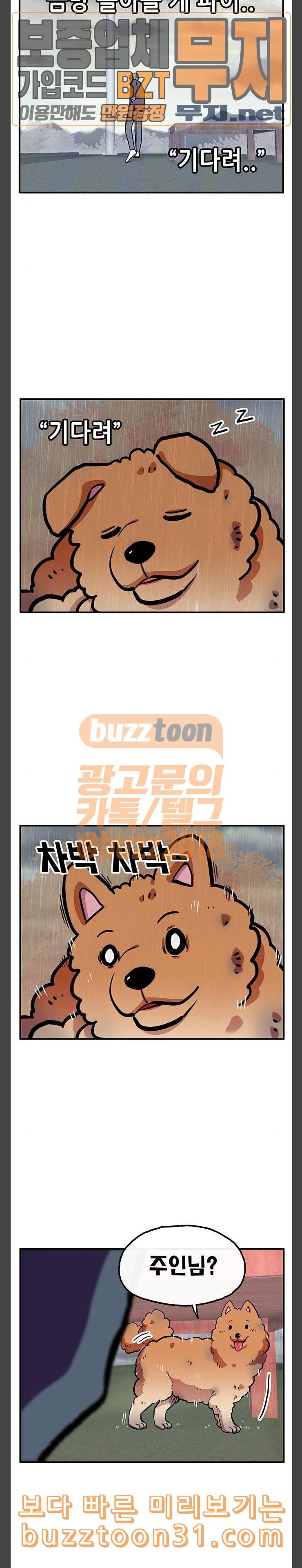 만물의 영장 30화 유기견 치코와 파이 1 12