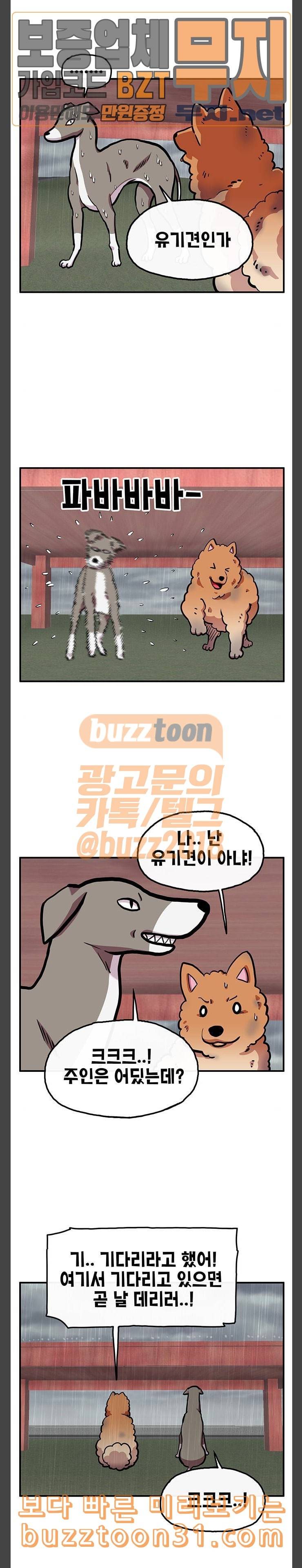 만물의 영장 30화 유기견 치코와 파이 1 13