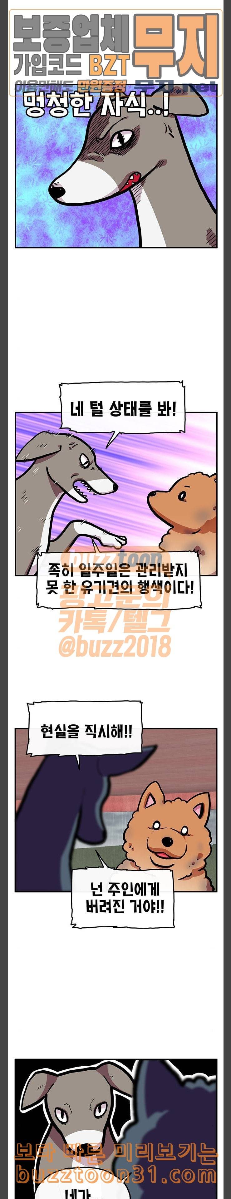 만물의 영장 30화 유기견 치코와 파이 1 14