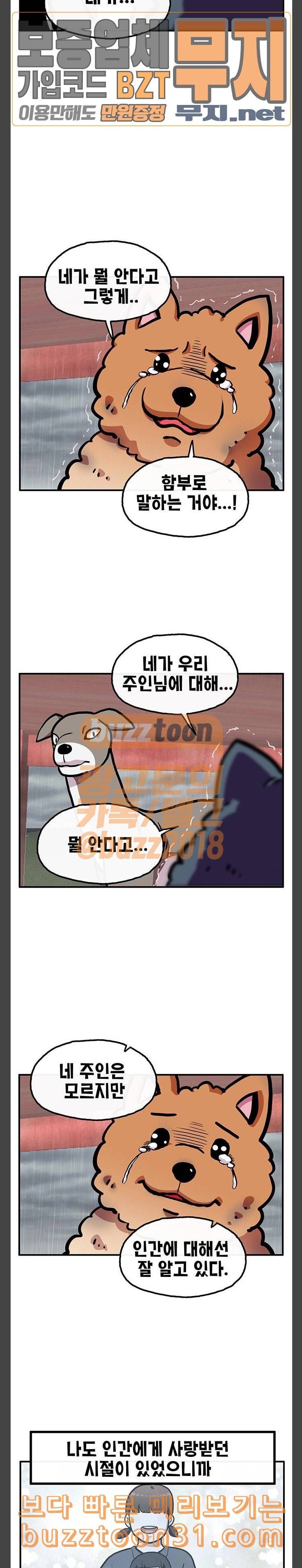 만물의 영장 30화 유기견 치코와 파이 1 15