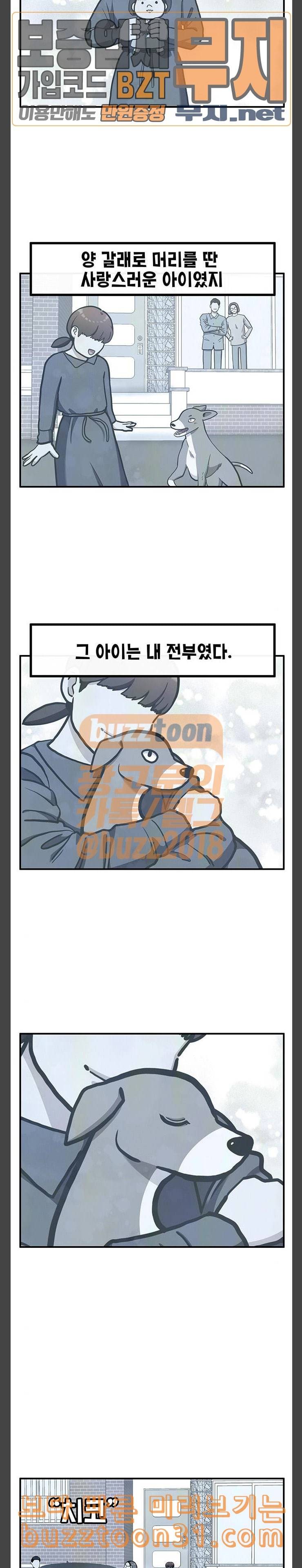 만물의 영장 30화 유기견 치코와 파이 1 16