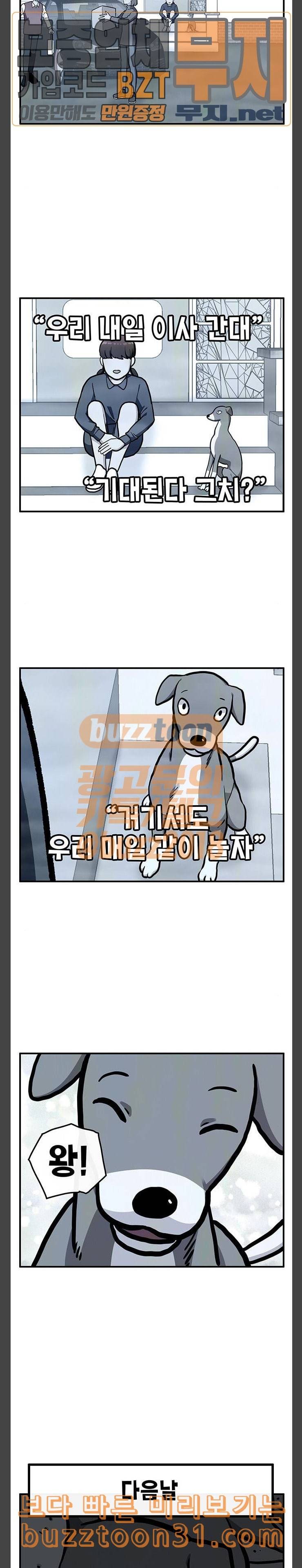 만물의 영장 30화 유기견 치코와 파이 1 17