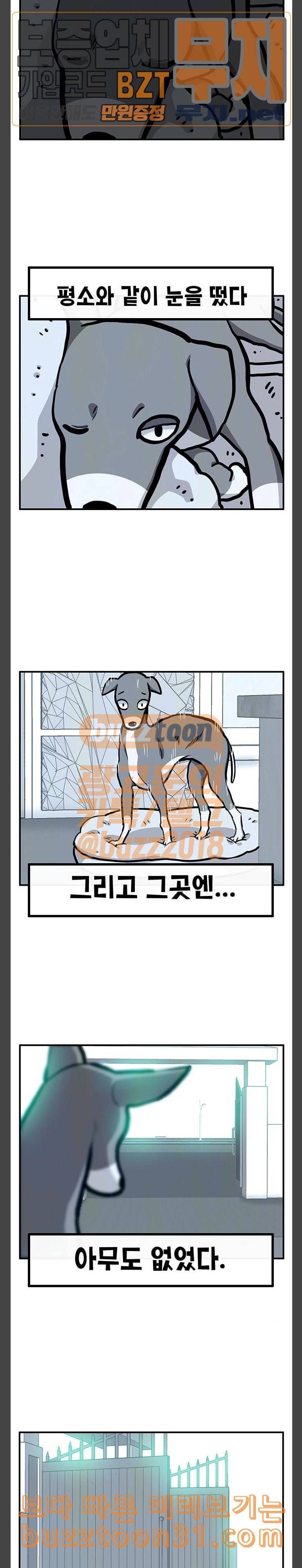 만물의 영장 30화 유기견 치코와 파이 1 18