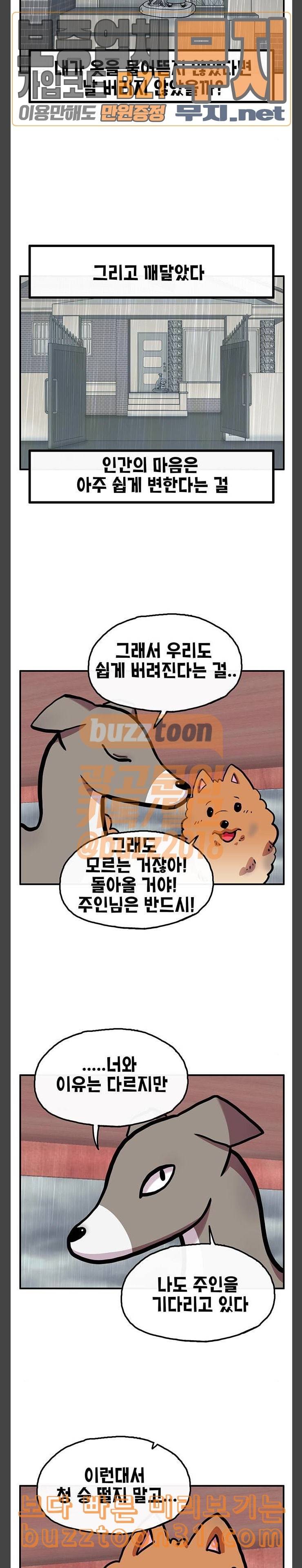 만물의 영장 30화 유기견 치코와 파이 1 20