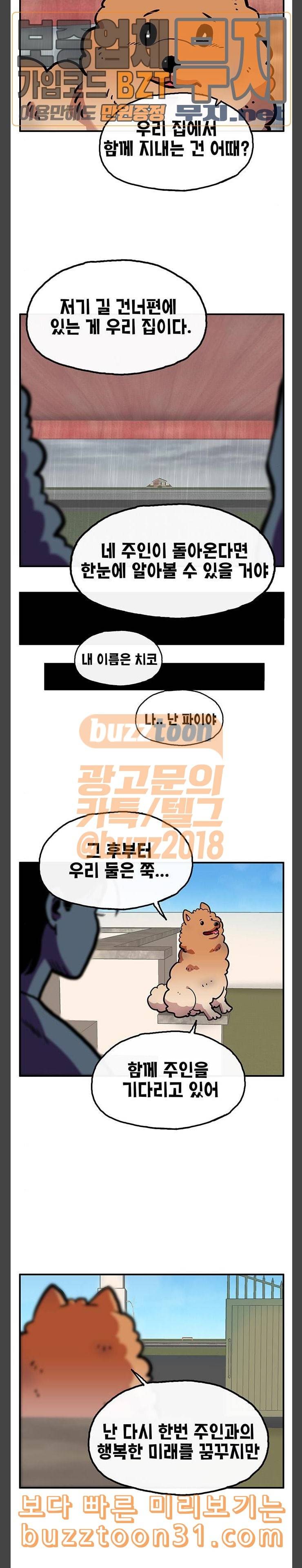 만물의 영장 30화 유기견 치코와 파이 1 21
