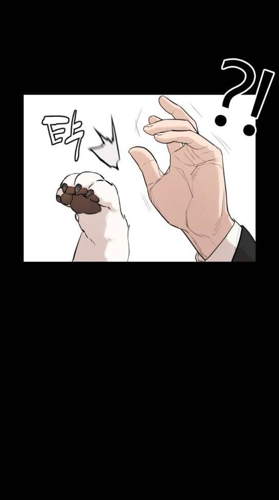 싸움독학 13화 24