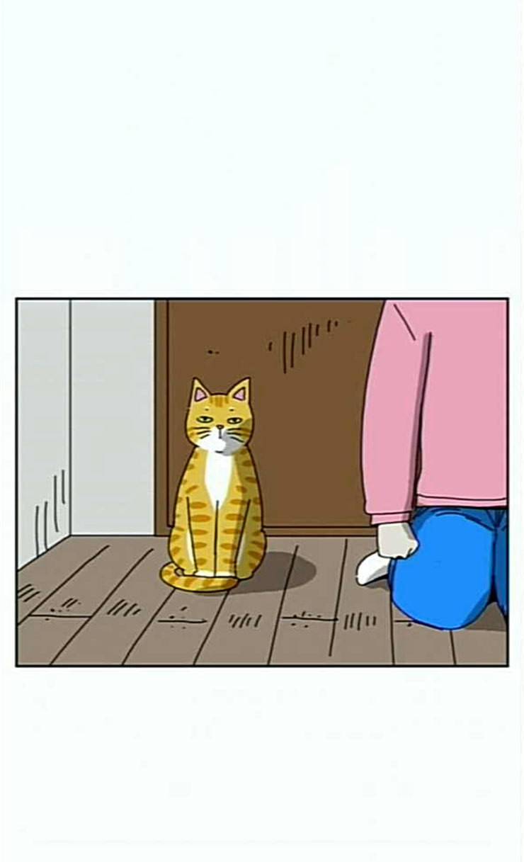 좀비딸 79화 17