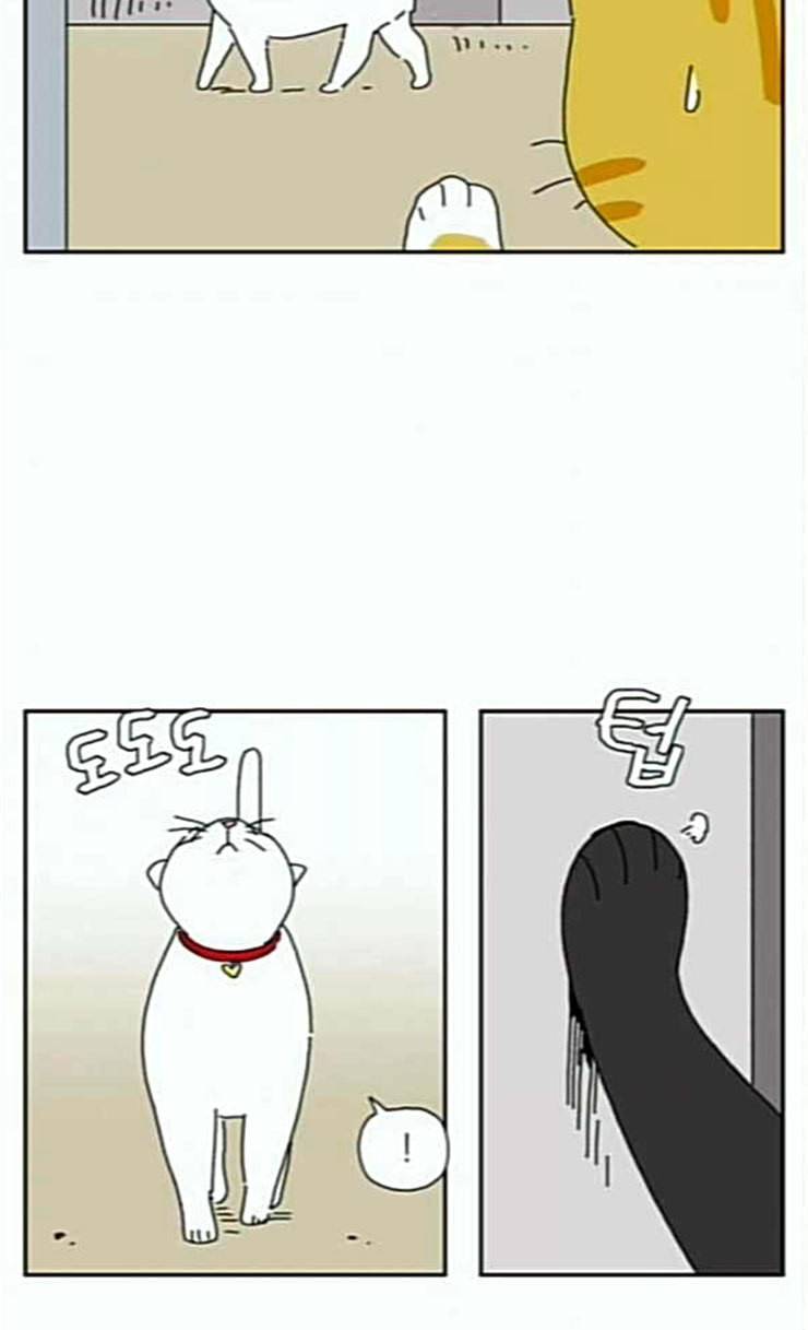 좀비딸 79화 32