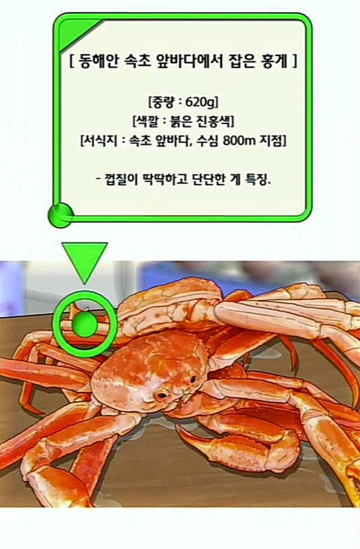 취사병 전설이 되다 53화 자연산과 양식 63