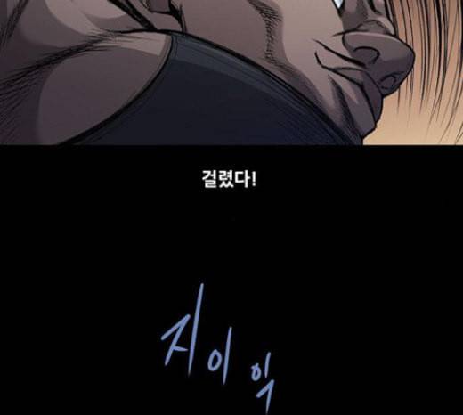 비질란테 103화 11