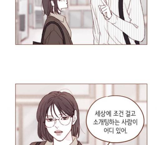 홍시는 날 좋아해 111화 어디까지 허락해줄 수 있어 14