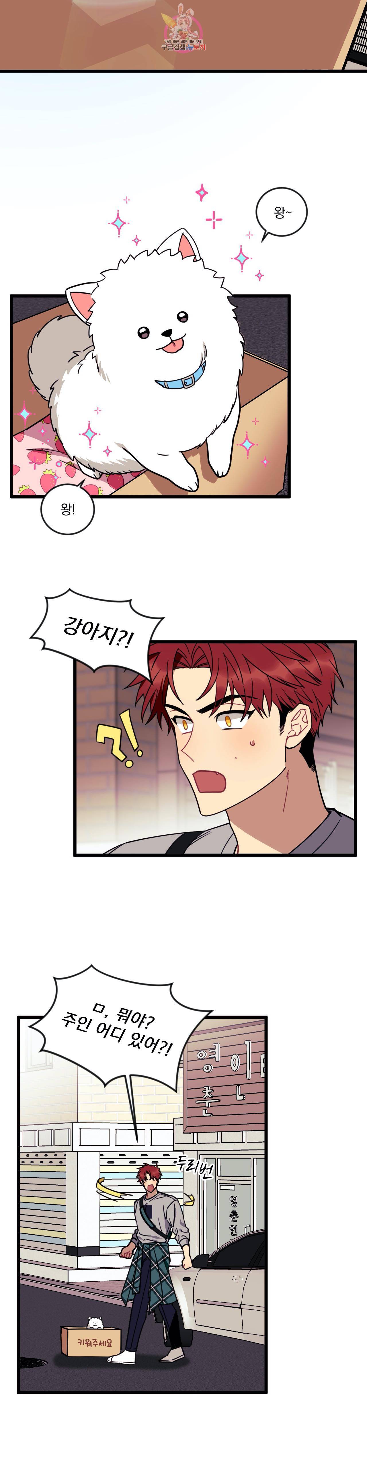소원을 말해봐! 11화 23