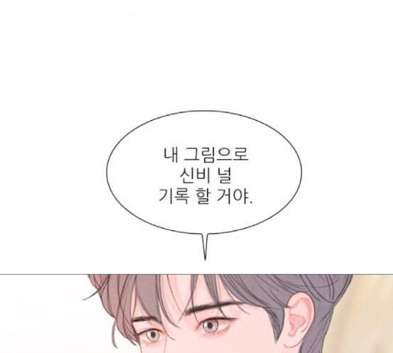 신비 12화 5