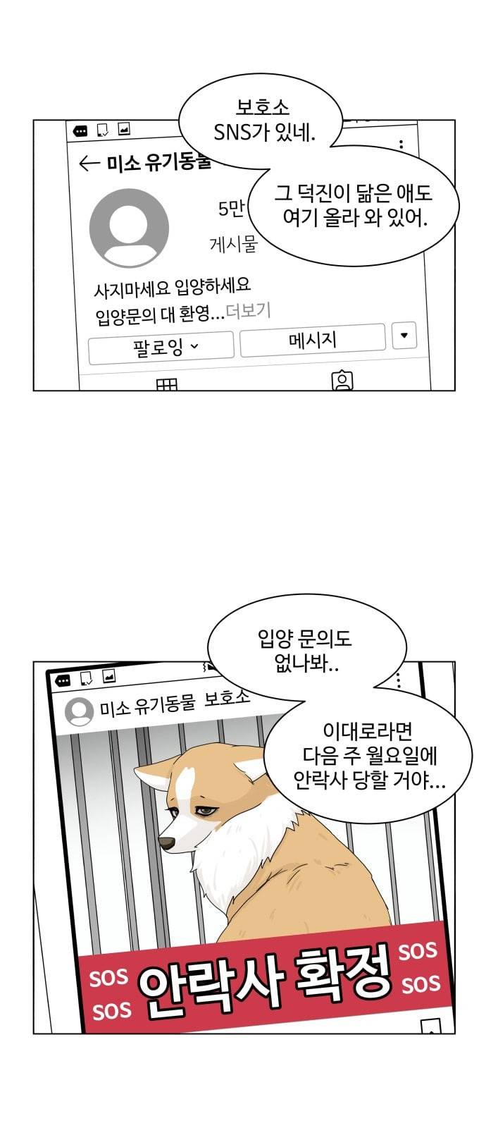 개를 낳았다 시즌2 7화 6
