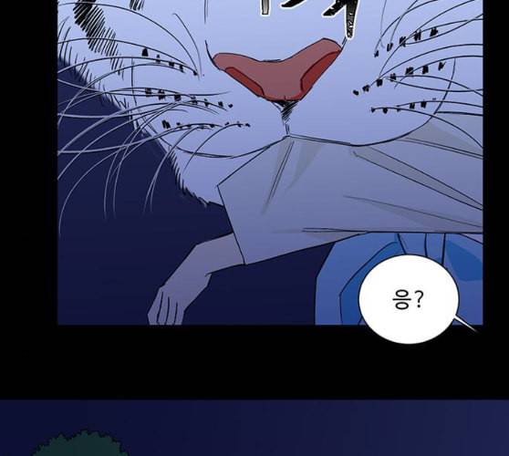백호랑 13화 17
