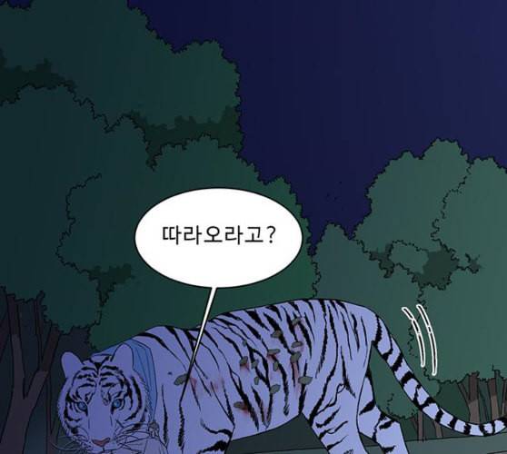 백호랑 13화 18