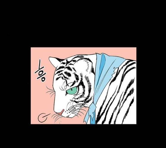 백호랑 13화 26