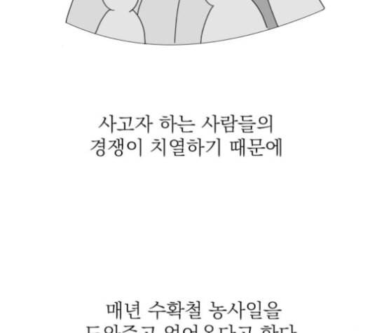 정순애 식당 41화 12